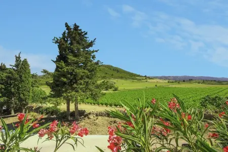 Gîte de luxe dans les vignes 3, Escapade douillette à Villesèque - Photo 17