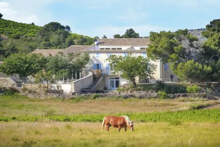 Gîte de luxe dans les vignes 4, Séjour de bonheur à Mandourelle - Photo 22