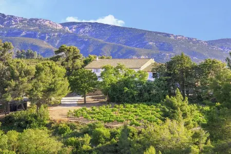Gîte de luxe dans les vignes 5, Escapade familiale sereine - Photo 30