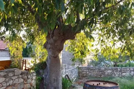 Villa Niva, Maison à Marina proche des Plages - Photo 44