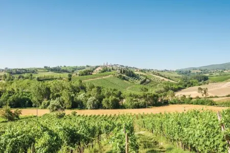 Muleti 1, Le havre de paix à flanc de colline de San Gimignano - Photo 15