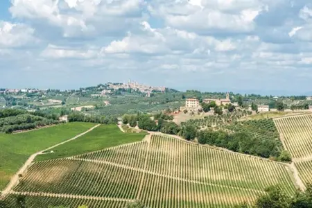 Muleti 1, Le havre de paix à flanc de colline de San Gimignano - Photo 22