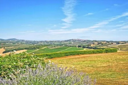 Muleti 1, Le havre de paix à flanc de colline de San Gimignano - Photo 24