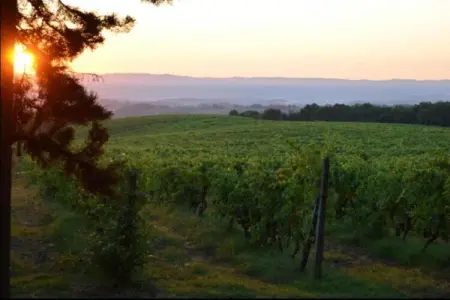Muleti 1, Le havre de paix à flanc de colline de San Gimignano - Photo 26