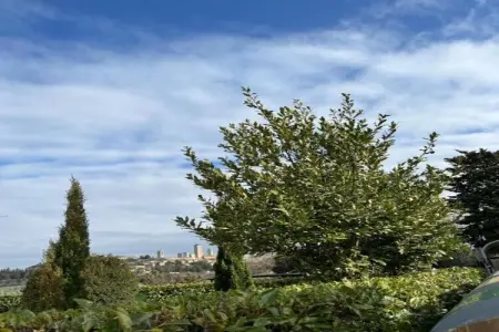 Muleti 2, Ferme toscane avec piscine - Photo 14