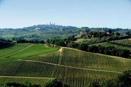 Muleti 2, Ferme toscane avec piscine - Photo 22