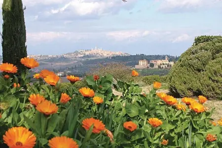 Muleti 2, Ferme toscane avec piscine - Photo 27