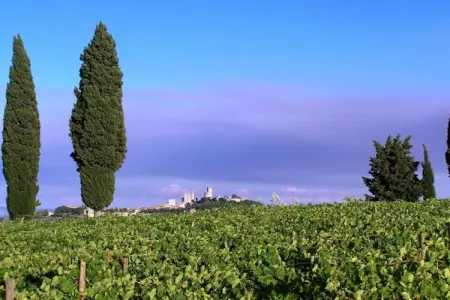 Muleti 2, Ferme toscane avec piscine - Photo 28