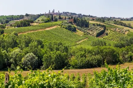 Muleti 3, Escapade près de San Gimignano - Photo 32