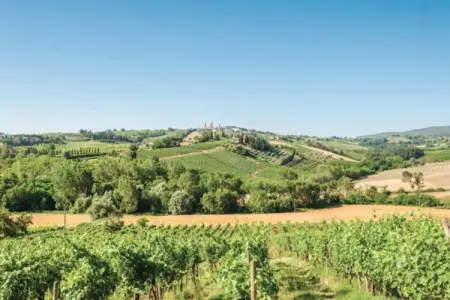 Muleti 3, Escapade près de San Gimignano - Photo 39