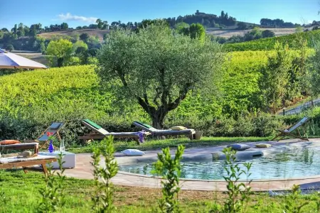 Villa Fiorini, Villa avec visites de vignobles près de la plage - Photo 21