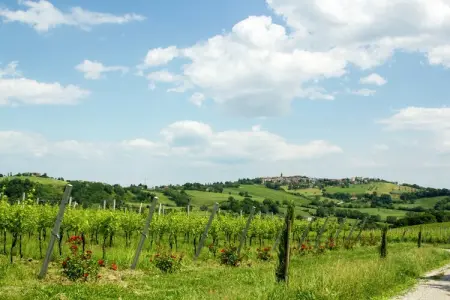 Villa Fiorini, Villa avec visites de vignobles près de la plage - Photo 27