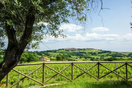 Villa Fiorini, Villa avec visites de vignobles près de la plage - Photo 30