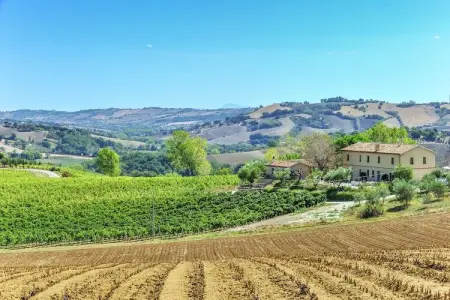 Villa Fiorini, Villa avec visites de vignobles près de la plage - Photo 32