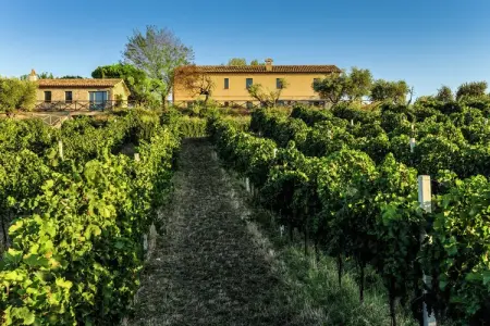 Villa Fiorini, Villa avec visites de vignobles près de la plage - Photo 33