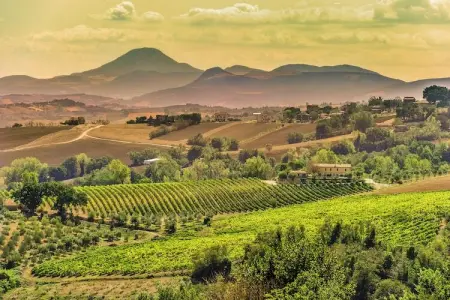 Villa Fiorini, Villa avec visites de vignobles près de la plage - Photo 34