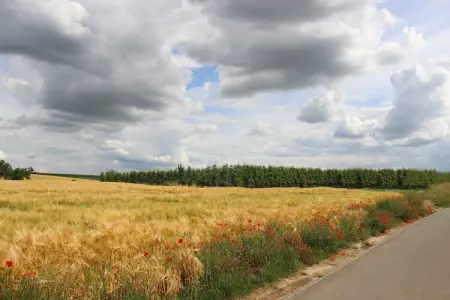 Heers Beneden, Maison au cœur des vergers - Photo 31