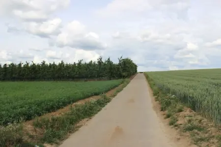 Heers Beneden, Maison au cœur des vergers - Photo 34
