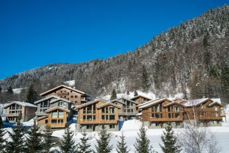 Les Portes de Megève 4, Bois et pierre Luxe alpin - Photo 5