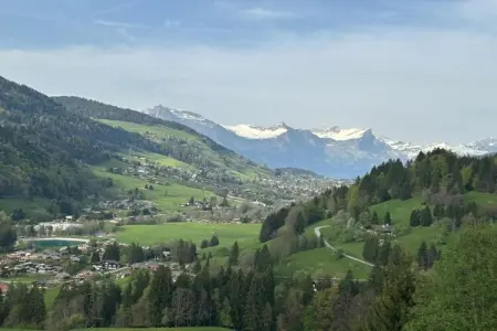 Les Portes de Megève 4, Bois et pierre Luxe alpin - Photo 14