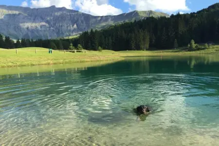 Les Portes de Megève 4, Bois et pierre Luxe alpin - Photo 18
