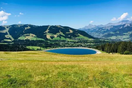 Les Portes de Megève 4, Bois et pierre Luxe alpin - Photo 20