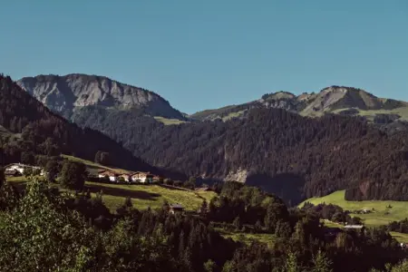 Les Portes de Megève 4, Bois et pierre Luxe alpin - Photo 27