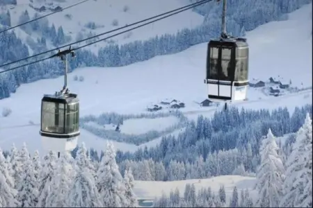 Les Portes de Megève 4, Bois et pierre Luxe alpin - Photo 29