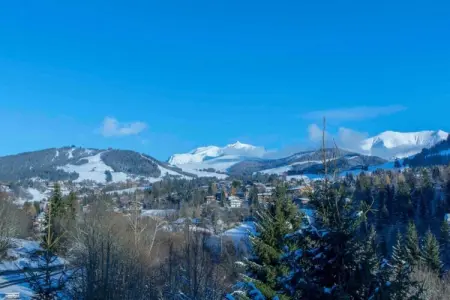 Les Portes de Megève 4, Bois et pierre Luxe alpin - Photo 30