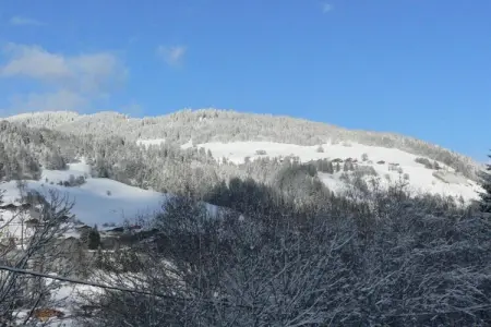 Les Portes de Megève 4, Bois et pierre Luxe alpin - Photo 32