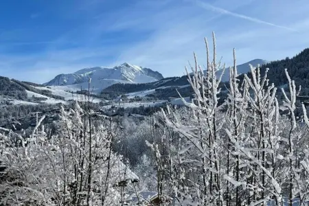 Les Portes de Megève 4, Bois et pierre Luxe alpin - Photo 33
