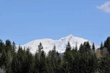 Les Portes de Megève 4, Bois et pierre Luxe alpin - Photo 35