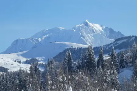 Les Portes de Megève 4, Bois et pierre Luxe alpin - Photo 36