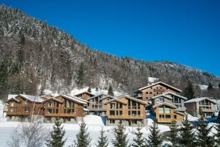 Les Portes de Megève 11, Chalet proche du domaine skiable de Praz sur Arly - Photo 5