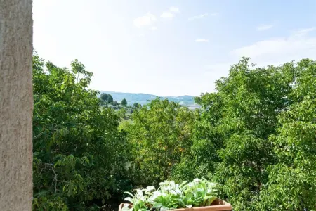 Oleandro 2, Appartement à Ripabottoni avec Vue - Photo 24