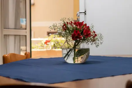 La Casa di Nina, Maison de vacances typique à Nicotera Marina avec jardin - Photo 23