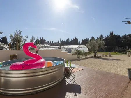 Mas de la Gourmette, Maison 5 personnes à Châteaurenard - Photo 34