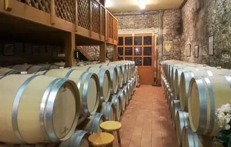 Maison 10 personnes à Saint Rémy - Photo 15