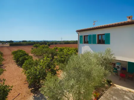 Son Vivot, Maison 4 personnes à Inca - Photo 61