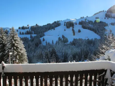 Henri, Chalet 4 personnes à Moléson sur Gruyères - Photo 23