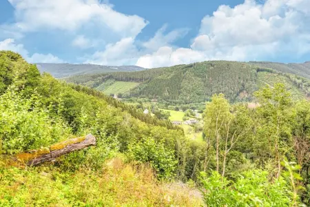Alegria, Maison de vacances pittoresque à Trois-Ponts près des bois - Photo 32