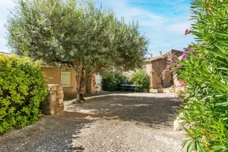 La vigneronne, Maison dans le village cathare de Montouliers - Photo 27