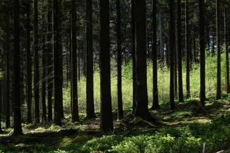 Le 48, À mi-chemin entre le parc naturel - Photo 29
