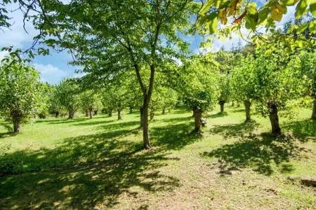 Fattoria 19, Magnifique Villa avec Piscine - Photo 28