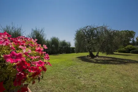 Prato, Ferme en Chianti avec piscine et terrasse - Photo 24