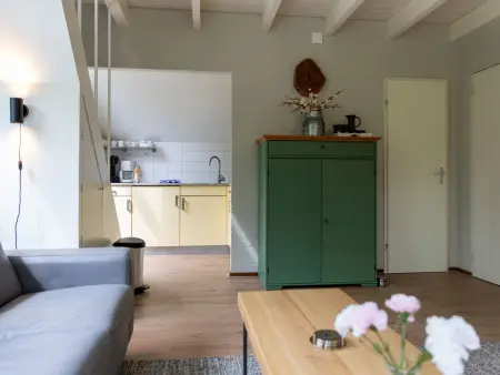 4-persoons, Maison 4 personnes à Dalfsen - Photo 7