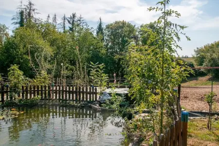 Herhet 21, Maison de vacances א Houyet pour 6 personnes - Photo 33