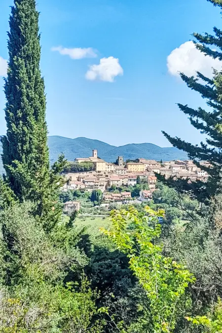 La Rocchetta, Maison 8 personnes à Guardistallo - Photo 35