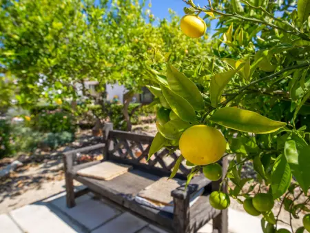 Villa Finca Labranza, Villa 6 personnes à Javea - Photo 46