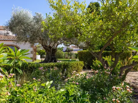 Villa Finca Labranza, Villa 6 personnes à Javea - Photo 48